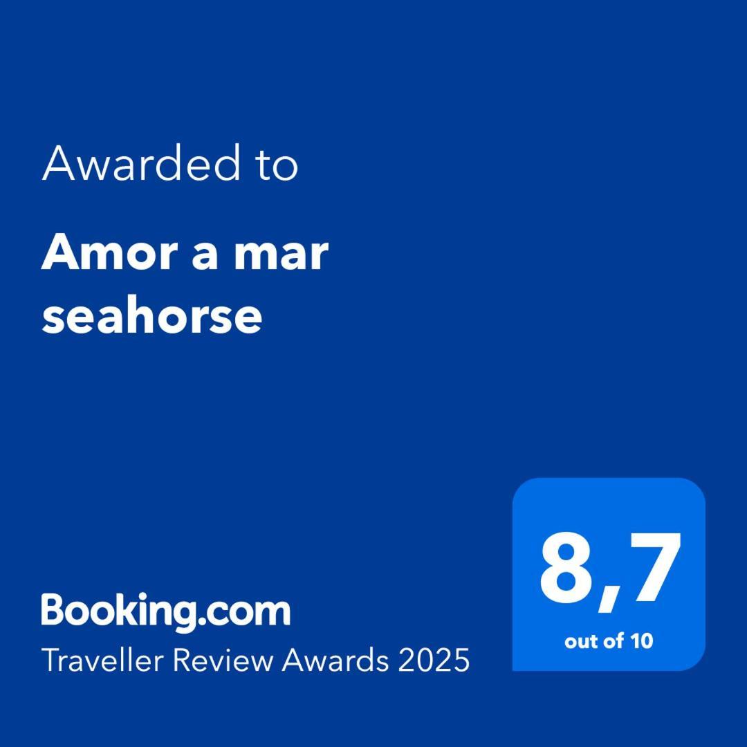 Amor A Mar Seahorse Πουέρτο Ντελ Κάρμεν Εξωτερικό φωτογραφία